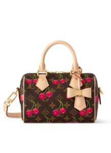 LV x TM Speedy Bandoulière 20 Bag